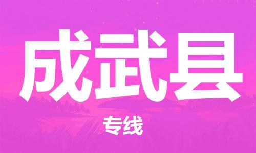 大亚湾区到成武县物流专线-大亚湾区至成武县货运-安全、快速、准确到达