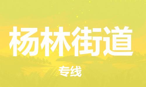 大亚湾区到杨林街道物流专线-杨林街道到大亚湾区货运-效率先行