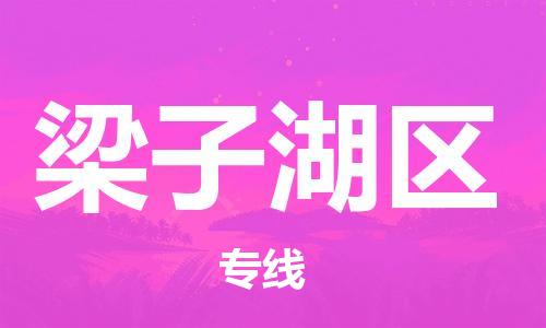 大亚湾区到梁子湖区物流专线-大亚湾区至梁子湖区货运-高质量的服务 大亚湾区到梁子湖区物流专线-大亚湾区至梁子湖区货运-高质量的服务