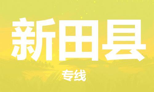 大亚湾区到新田县物流-大亚湾区到新田县专线-专业放心