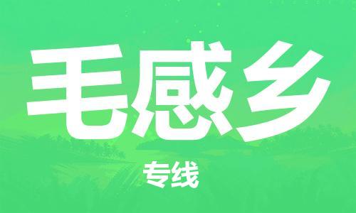江门到毛感乡物流公司-为您提供实惠可靠的物流服务江门至毛感乡电动车托运-