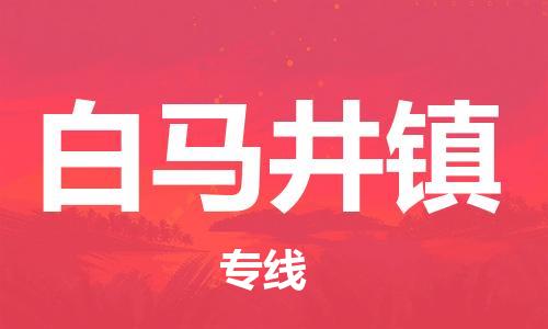 大亚湾区到白马井镇物流专线-大亚湾区至白马井镇货运-货物安全有保障