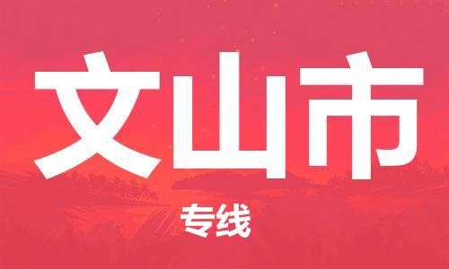 大亚湾区到文山市物流专线-大亚湾区到文山市货运-口碑商家